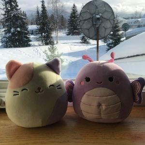 Squishmallows :)